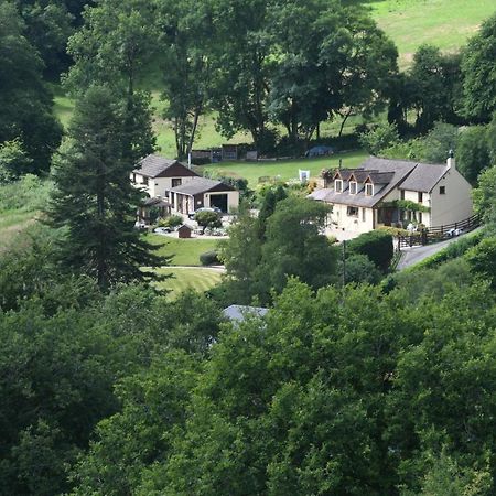 Ty Twt - Complete Holiday Home Llandysul 外观 照片