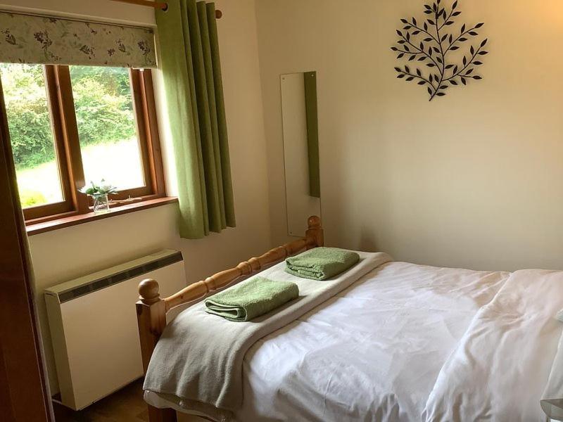 Ty Twt - Complete Holiday Home Llandysul 外观 照片