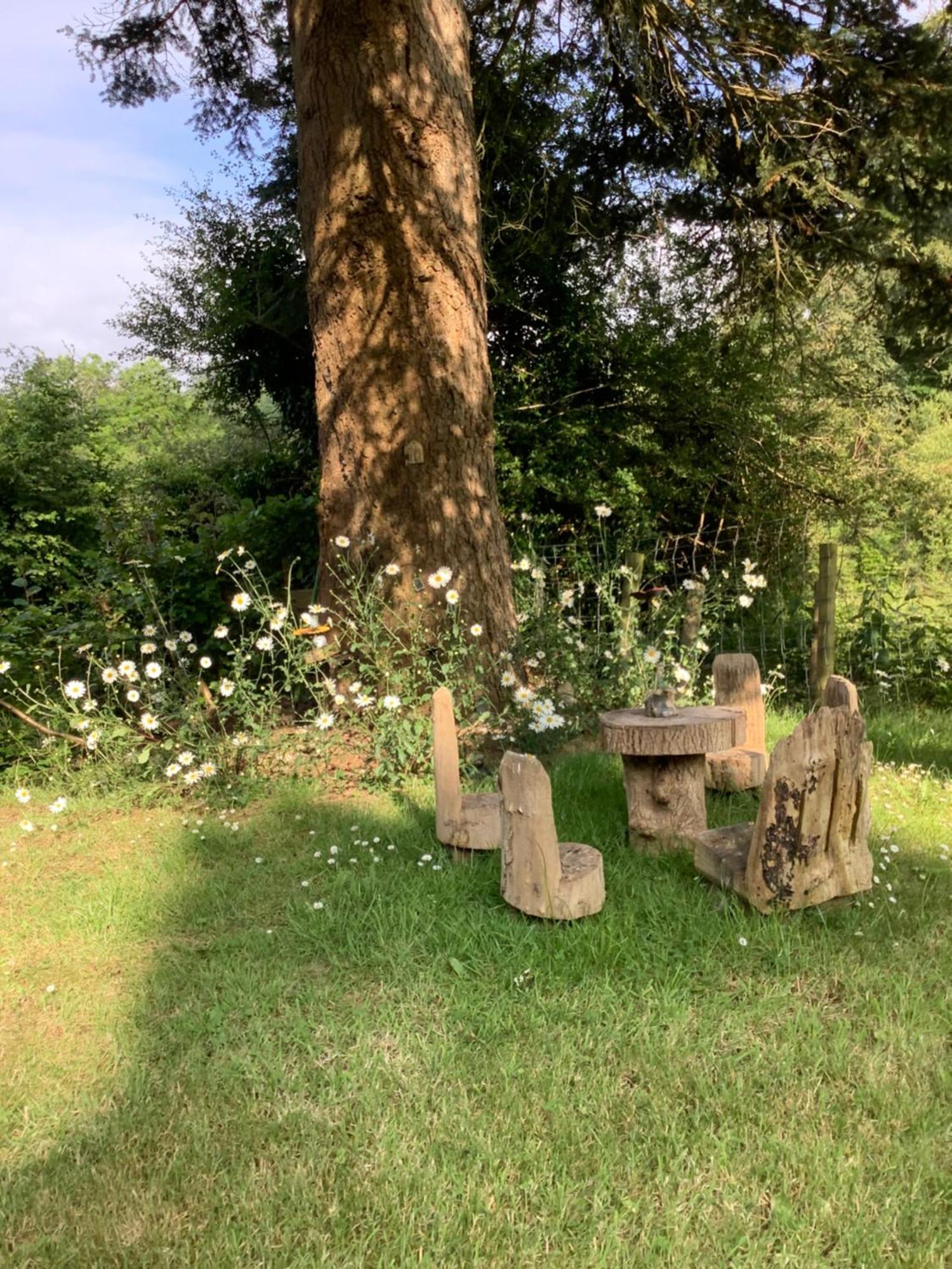 Ty Twt - Complete Holiday Home Llandysul 外观 照片
